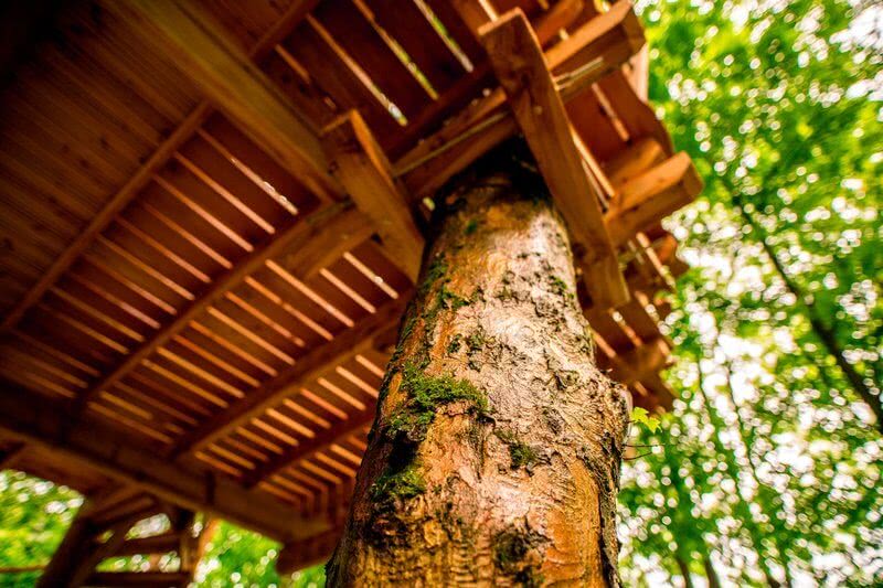 Treehouse pod Ještědem