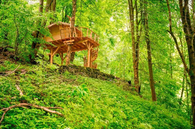 Treehouse pod Ještědem