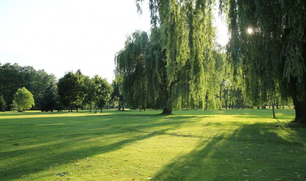 Golf Club Poděbrady