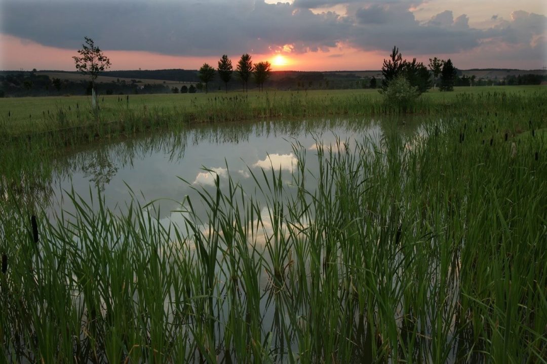 Golf Resort Darovanský Dvůr