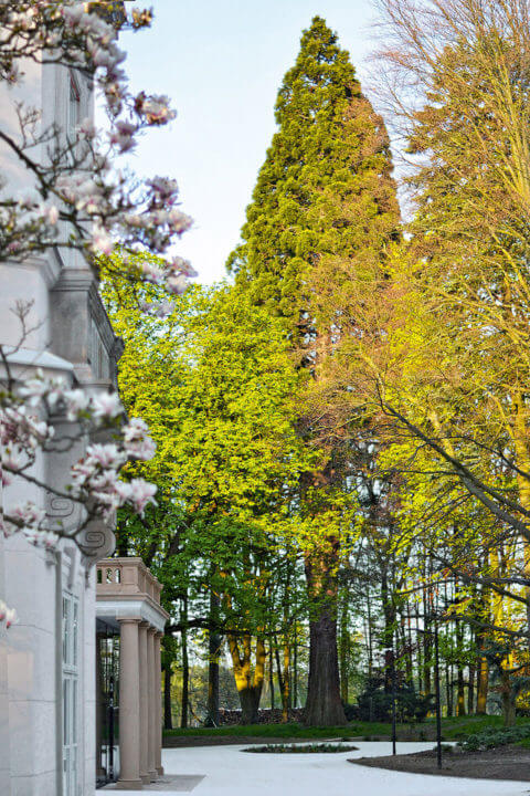 Zámek Ratměřice - Hotel & Resort