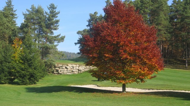 Golf Resort Františkovy Lázně