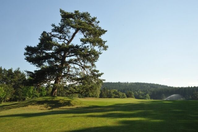 Golf Resort Františkovy Lázně