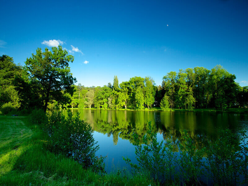 Queens Park Golf Club Myštěves