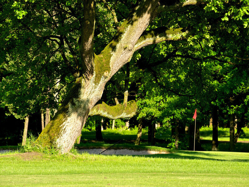 Queens Park Golf Club Myštěves