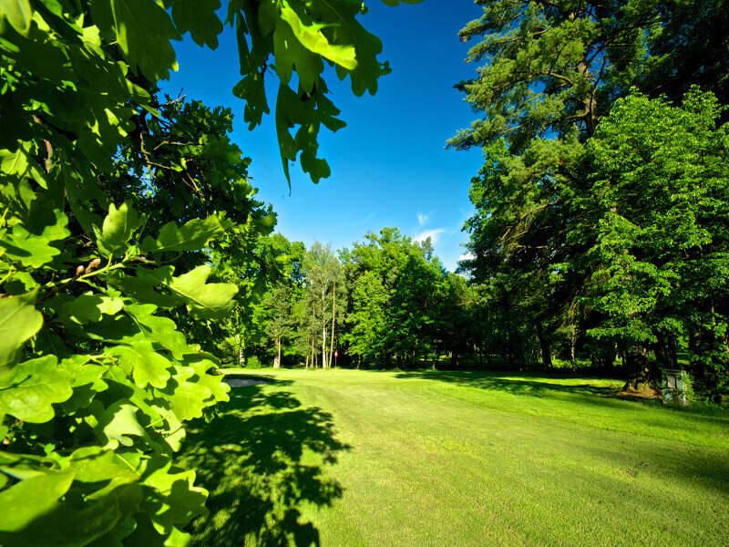 Queens Park Golf Club Myštěves