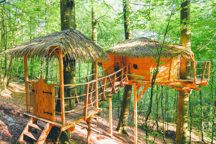 Treehouse