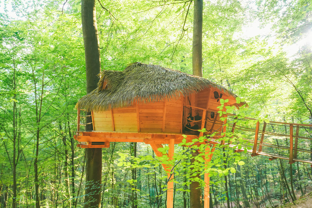 Treehouse