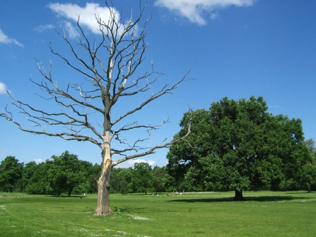 Golf Resort Bechyně