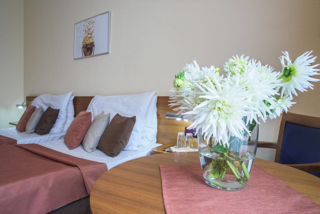 Wellness Hotel Opava